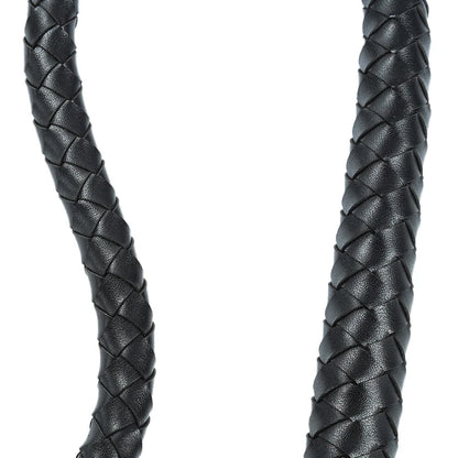 "WildWhip" – Audace & Sensualité